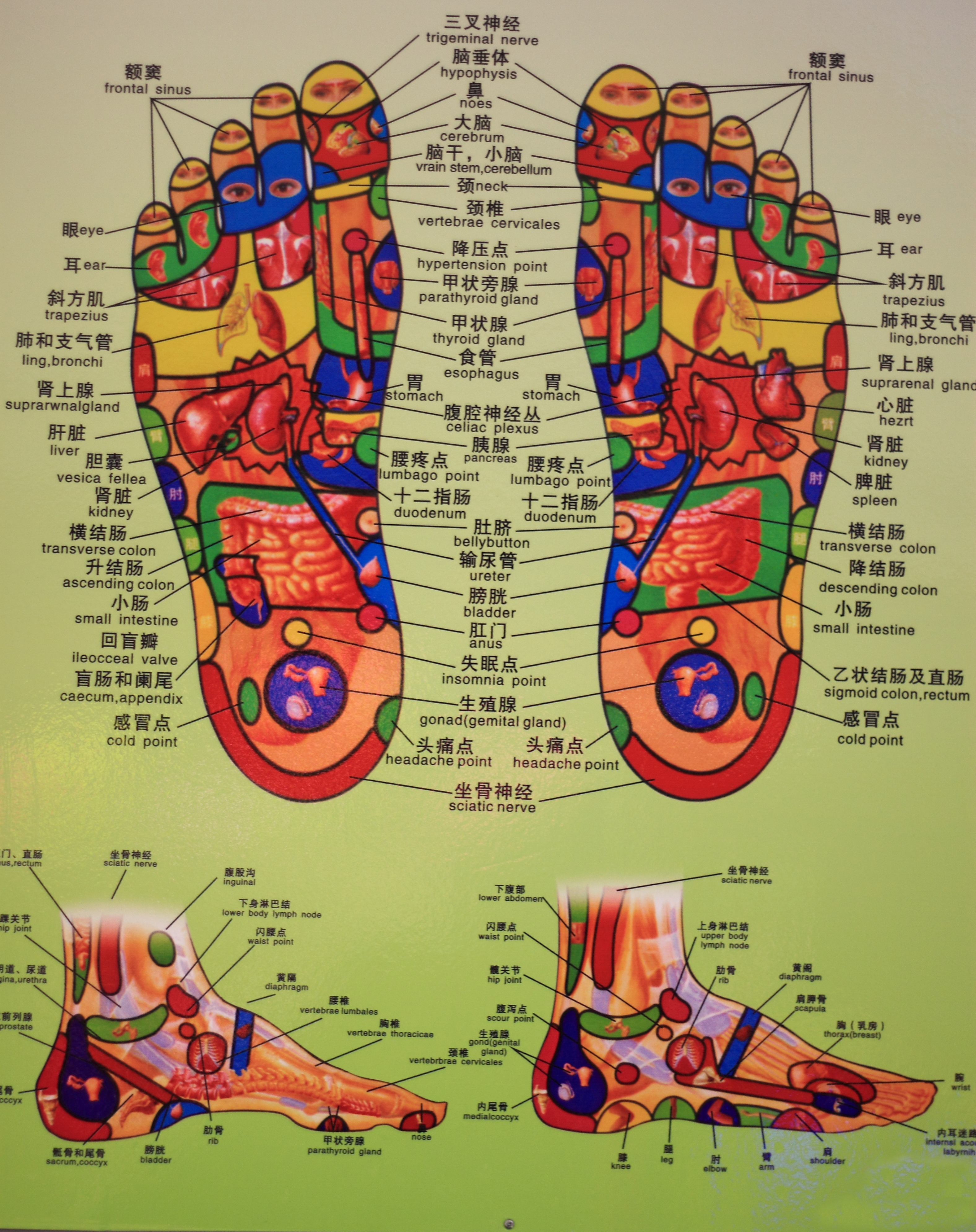 Foot Massage Chart